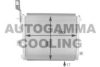 AUTOGAMMA 105195 Condenser, air conditioning